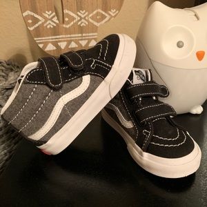 Toddler boy Vans hightop